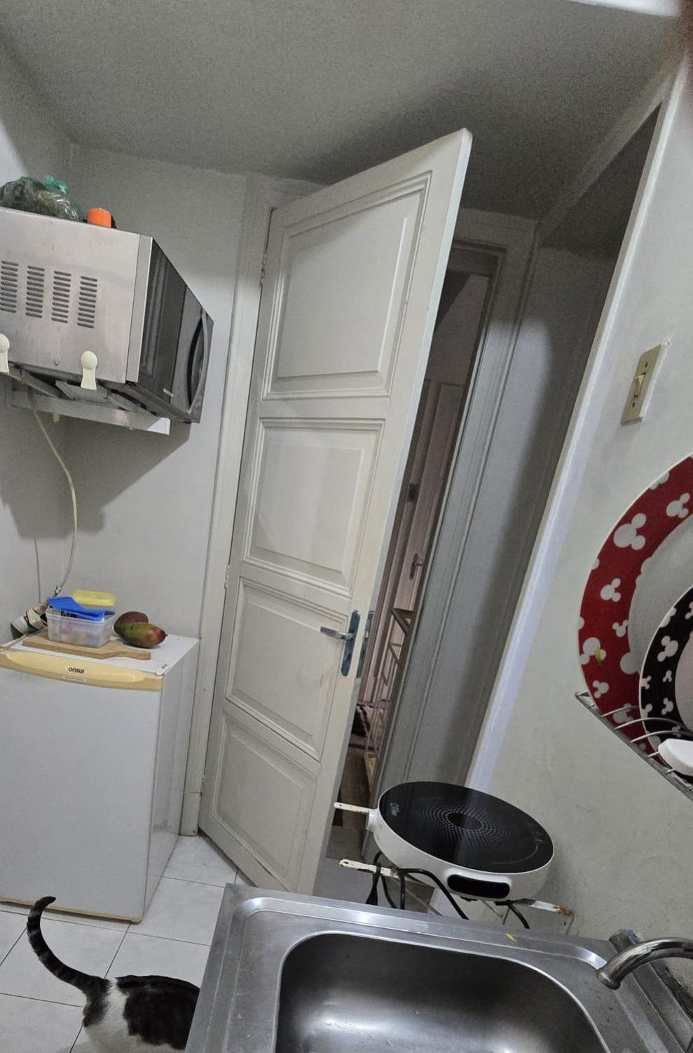 Séjour chez l'habitant Em No Bairro Laranjeiras Com 2 Gatinhos Lindos! *