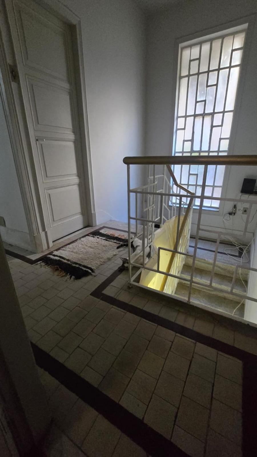Em No Bairro Laranjeiras Com 2 Gatinhos Lindos! Séjour chez l'habitant *